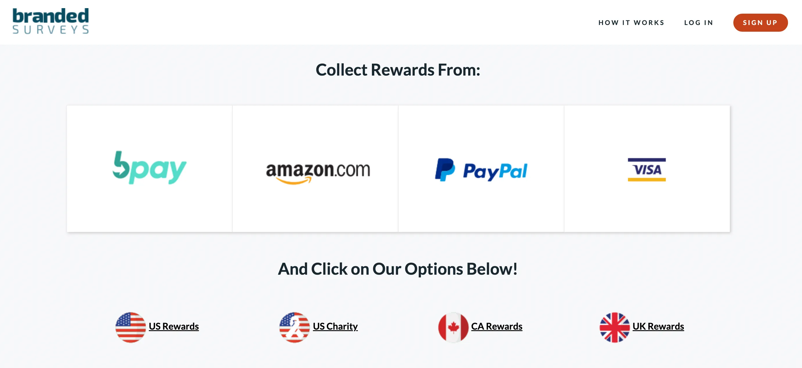 Branded Surveys